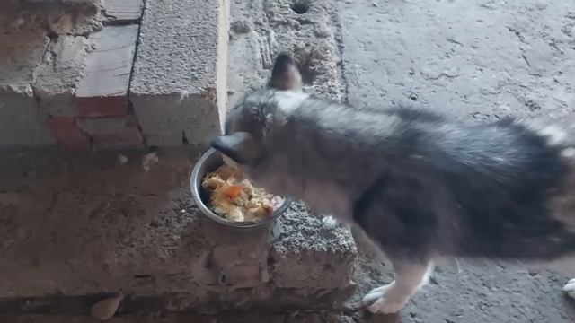 ВЛОГ:  Отвечаю на вопросы / Очередные покупки / БУДНИ