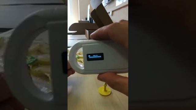 Ушные бирки с чипом.
