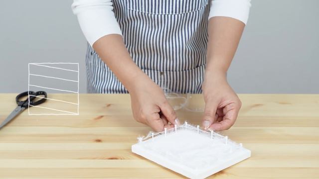 벽걸이 행잉플랜트 : 수세미실 : 이오난사 [Wall Hanging Plants Indoor & Tillandsia Ionantha]