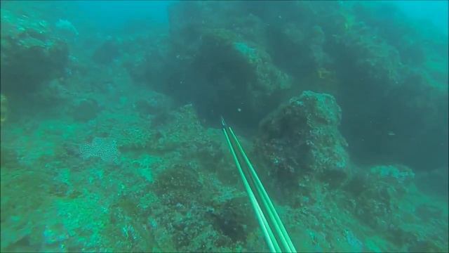 4ac173f77b40bf85435538c25ce19547