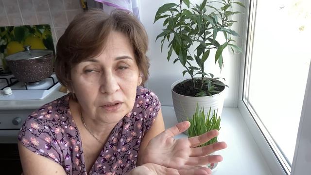 От ваших добрых комментариев стало легче на душе.