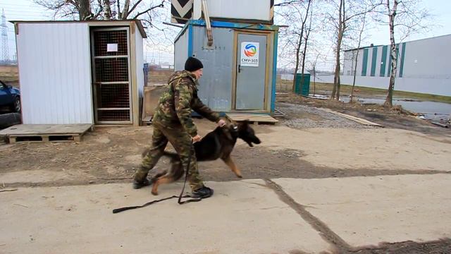 621e770f9224a45b870ae9cd462896d4