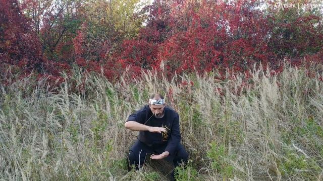 234854de44ccfa6a2516d0878696c3f0