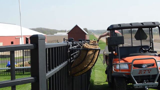 Planting Annual Containers