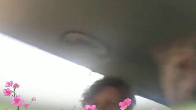 что делать на даче