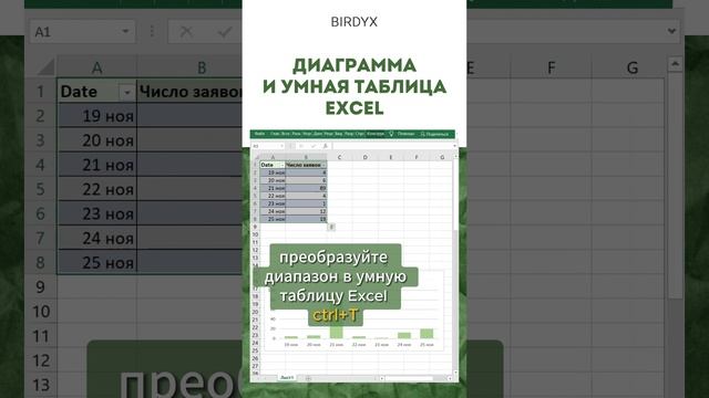 Birdyx. Excel и Google таблицы для бизнеса