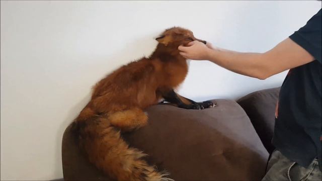 E130aba8a20815abab498b96fa8691aa