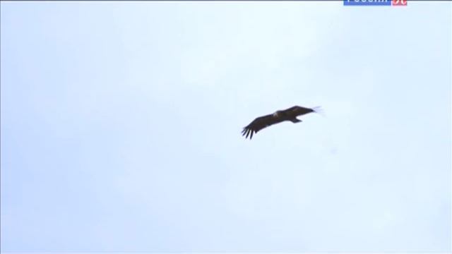 Ширванский национальный парк