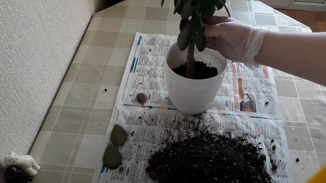 СтройКомплекс