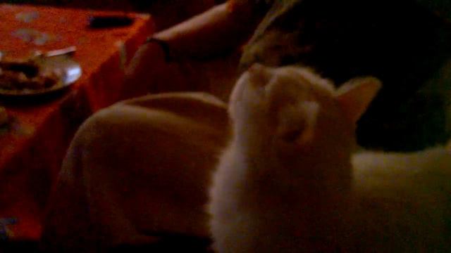 E28558954a43e461086c2719c1087140