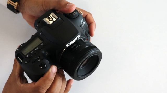 Canon 90D Review 2023: Comprehensive Look At The DSLR's Features, Performance & Video Capabilities