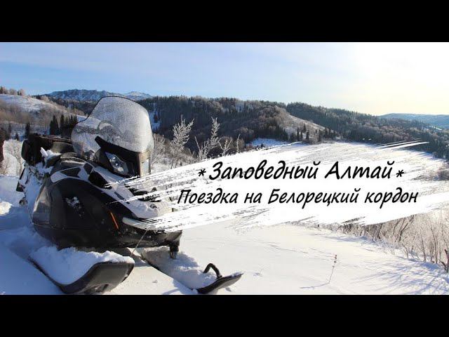 Заповедный Алтай - Поездка на Белорецкий кордон на снегоходах - 160км за 2 дня