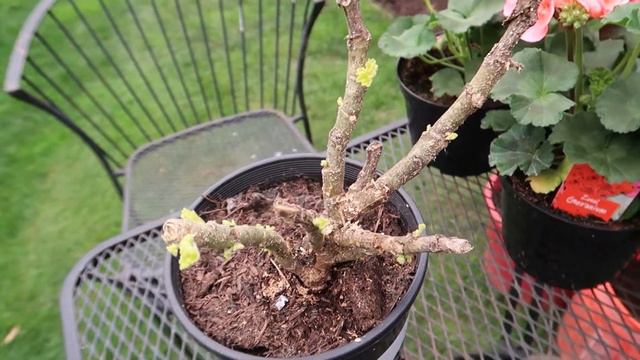 E15cf6ad579d3b6dd7388a4bdbfb2dec