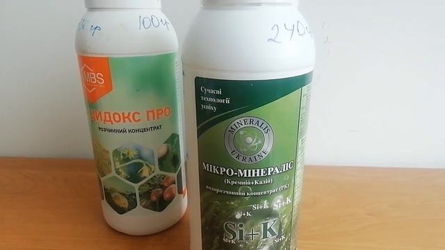 29 февраля 2024 г.