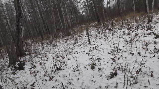 Проверка капканов 2023 г.