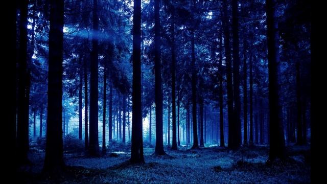 Звуки ночного леса..wmv