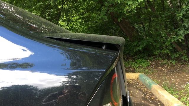 Гонки сердец