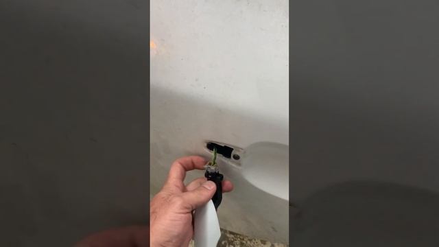 Декоративный Расцвет