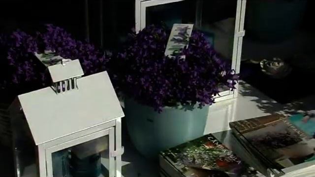 Addenda Campanula Tijdens De Libelle Week 2011