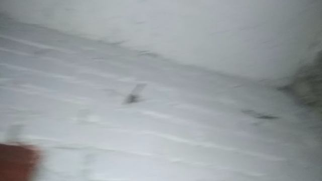 VID_20230807_101836.mp4