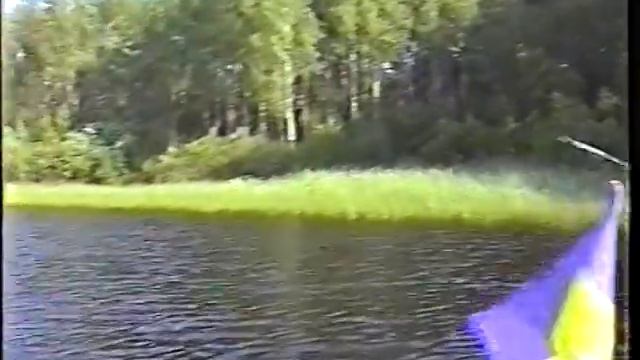 Смешные видео с животными дикой природы