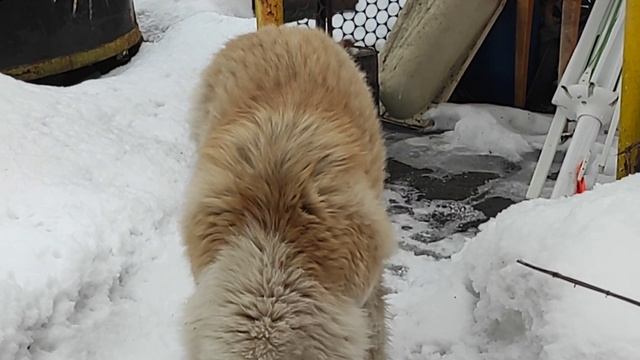 97af41d5e2faf29962e4ba51f4384cd3