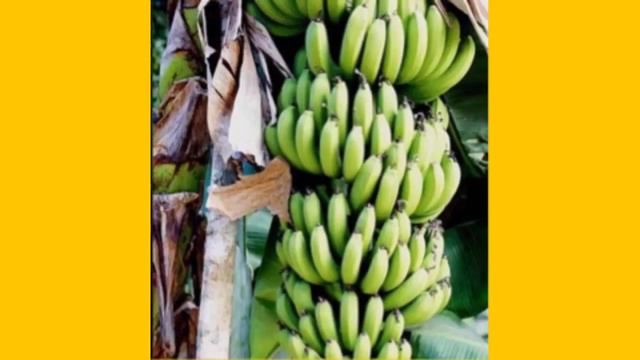 10 фактов о еде