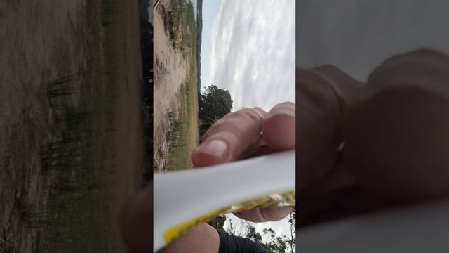 Berkley Sandworm Scent Versus Pro Cure Gel.