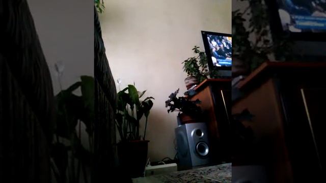 Стойка на голове