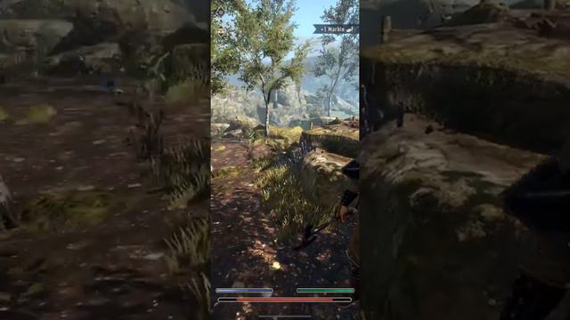 Elder Scrolls: Blades - Blood Queen Gameplay