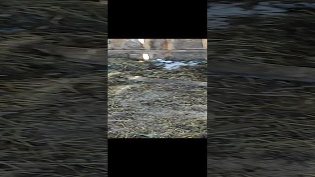 2297e60c29a3f1fe70b558f76c028185