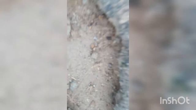 вот и закончилось лето