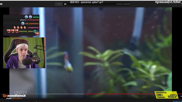 1b09f882d78bab0db8d4804e97718839