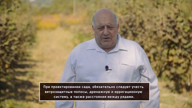 Планирование участка ореха / Land Planning Of Hazelnut Plantation