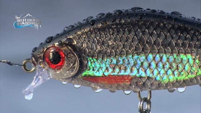 OUTDOOR PASSION THE  RAPALA SUPER SHADOW RAP