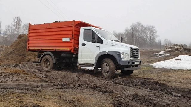 Газон Next месит грязь на силосе. МТЗ 80.1 - настало твое время ???