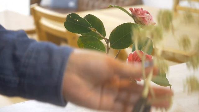 【生け花】いきなり冬⛄とっても華やかな椿✨いつも使っているアレのお花も😲初心者さんも試してみてね🎵