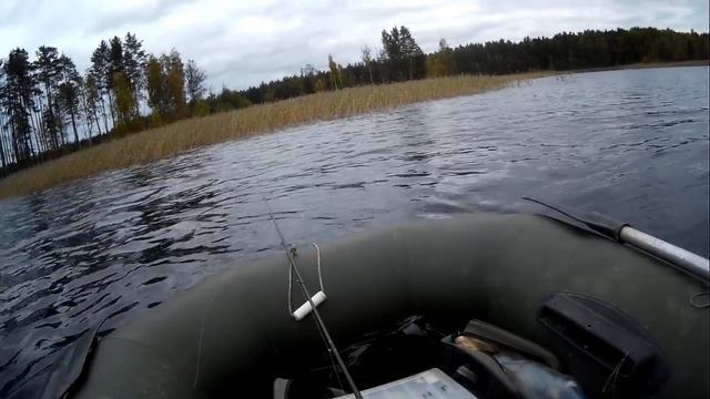 Лесное озеро