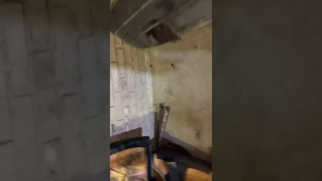 Пространство в белой гамме