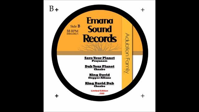 Stepper Allianz - King David (Part Dub Chazbo)