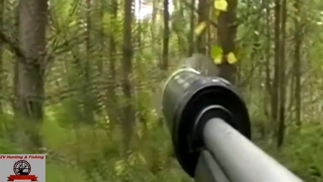 MOOSE HUNTING !Охота на лося.  лось чуть не задавил меня!