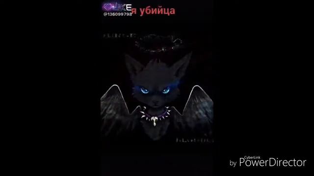 Что думает М. Волк