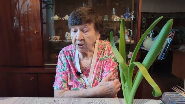 F114e169c2ce2b52903082663479181f