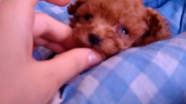 9b3280614477c6fe01a18c6831f42723