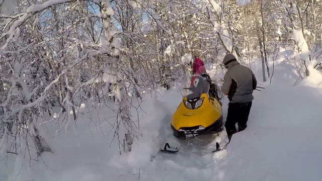 На СНЕГОХОДАХ по ТАЙГЕ