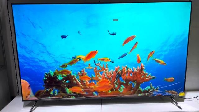 27 октября 2023 г.