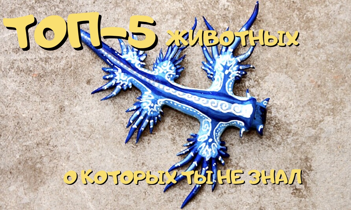 1c6c62170869478f92bd213976fab86c