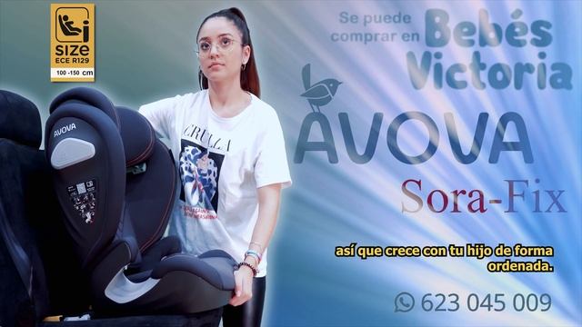 Avova Sora Fix Silla Coche Grupo 2 Y 3