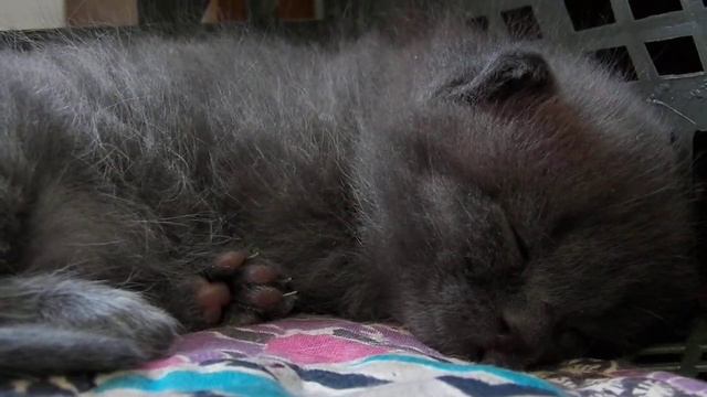 422197b3861033ea84635187797da1cc