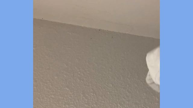 5. ЖИЛЬЕ ВО ФРАНЦИИ: ПРОСНУЛАСЬ С ТАРАКАНАМИ, РУМТУР, СБЕЖАЛА ИЗ ОБЩАГИ, НЕДЕЛЮ ЖИЛА В ЧУЖОМ ДОМЕ